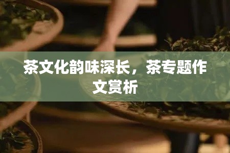 茶文化韵味深长，茶专题作文赏析