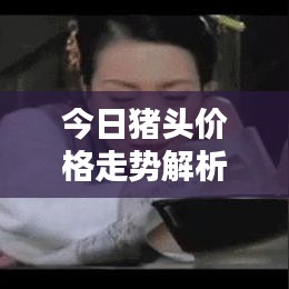 今日猪头价格走势解析，快速查询，深度分析