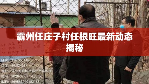 霸州任庄子村任根旺最新动态揭秘