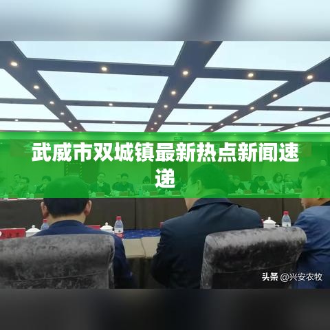 武威市双城镇最新热点新闻速递