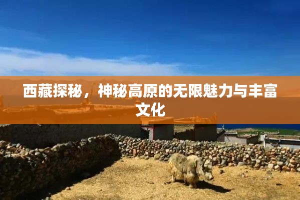 西藏探秘，神秘高原的无限魅力与丰富文化