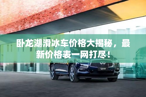 卧龙湖滑冰车价格大揭秘，最新价格表一网打尽！