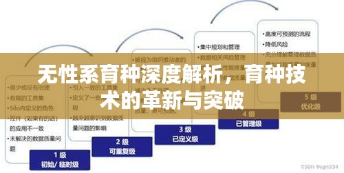 无性系育种深度解析，育种技术的革新与突破