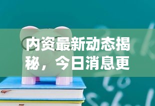 内资最新动态揭秘，今日消息更新与投资策略调整指南