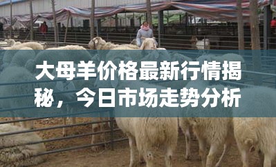 联系我们 第10页