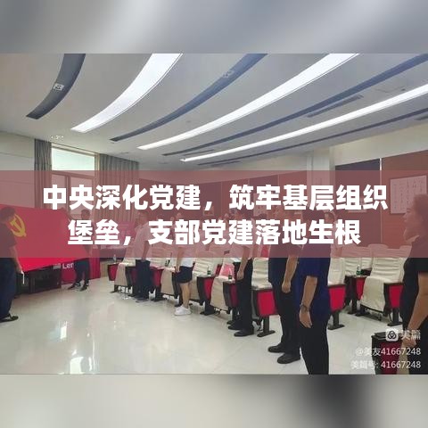 中央深化党建，筑牢基层组织堡垒，支部党建落地生根