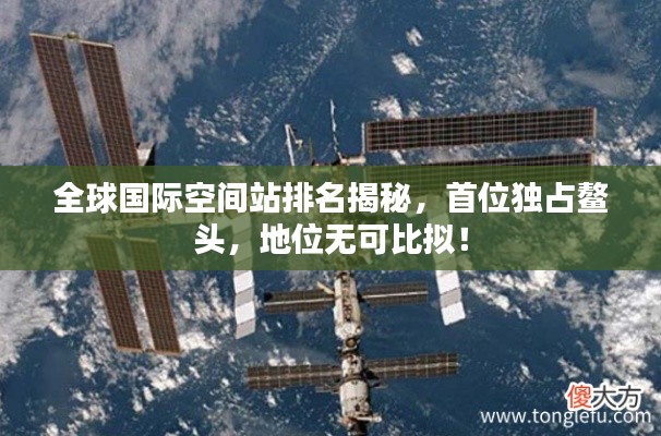技术支持 第8页