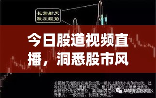 今日股道视频直播，洞悉股市风云，引领投资新风向标