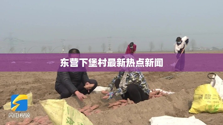 东营下堡村最新热点新闻