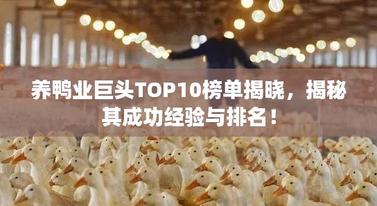 养鸭业巨头TOP10榜单揭晓，揭秘其成功经验与排名！
