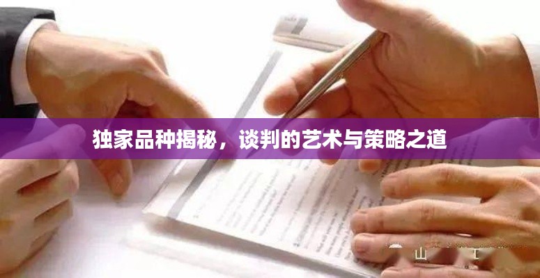 独家品种揭秘，谈判的艺术与策略之道