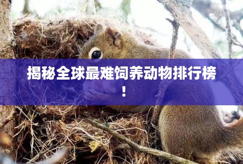 揭秘全球最难饲养动物排行榜！