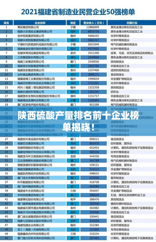 陕西硫酸产量排名前十企业榜单揭晓！