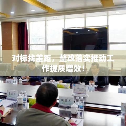 对标找差距，整改落实推动工作提质增效！