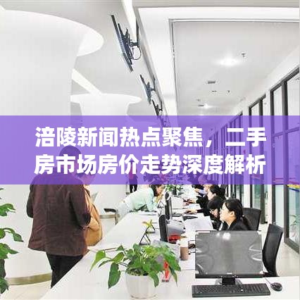 涪陵新闻热点聚焦，二手房市场房价走势深度解析