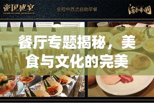 餐厅专题揭秘，美食与文化的完美交融之旅