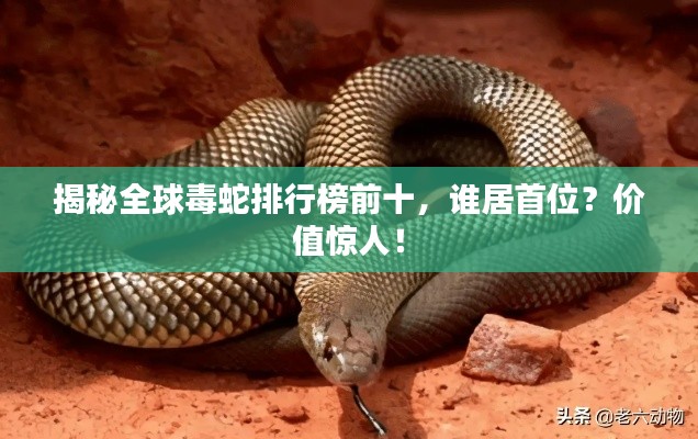 揭秘全球毒蛇排行榜前十，谁居首位？价值惊人！