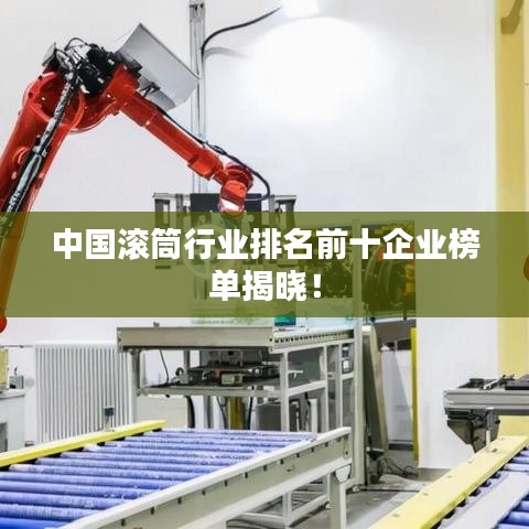中国滚筒行业排名前十企业榜单揭晓！