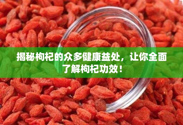 揭秘枸杞的众多健康益处，让你全面了解枸杞功效！