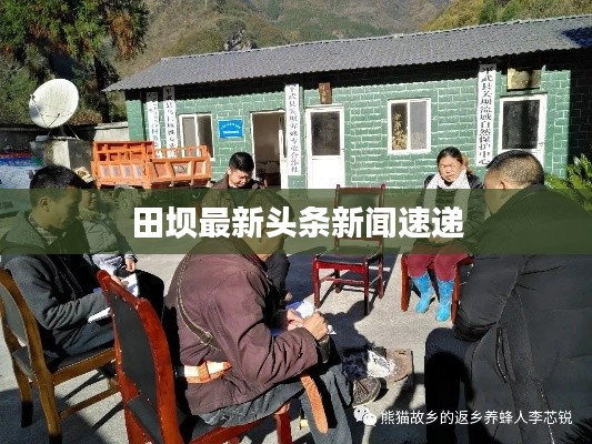 田坝最新头条新闻速递