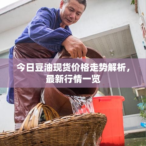 今日豆油现货价格走势解析，最新行情一览