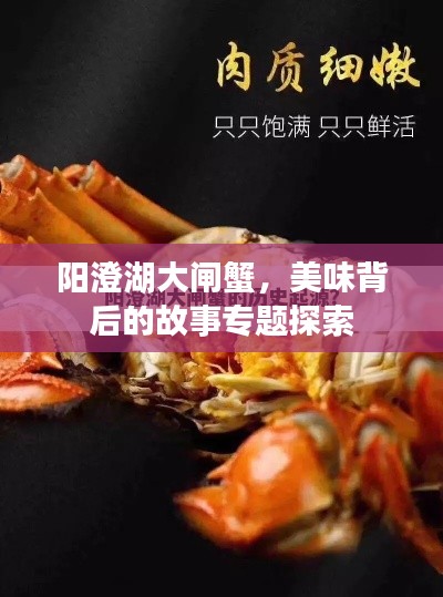 迷离马虎