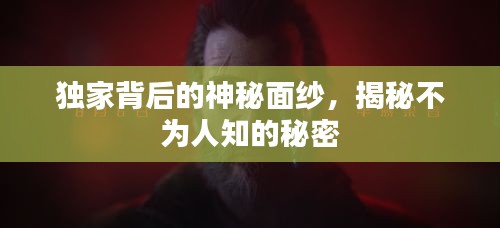 独家背后的神秘面纱，揭秘不为人知的秘密
