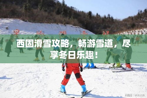 客户反馈 第7页