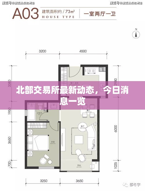 神气十足