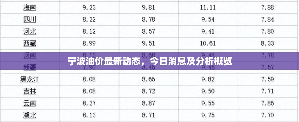 宁波油价最新动态，今日消息及分析概览