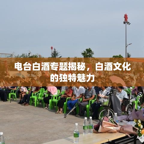 电台白酒专题揭秘，白酒文化的独特魅力