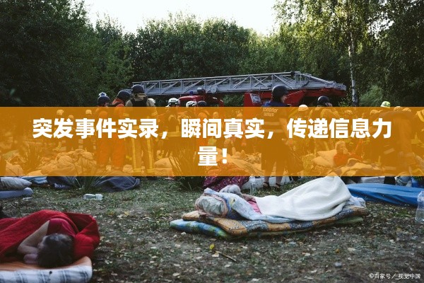 突发事件实录，瞬间真实，传递信息力量！
