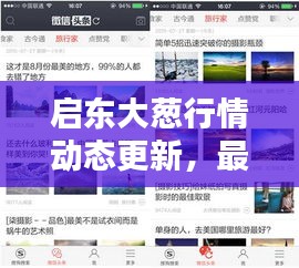 启东大葱行情动态更新，最新消息一网打尽！