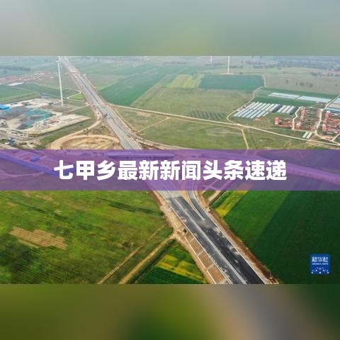 七甲乡最新新闻头条速递