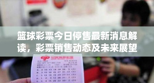 篮球彩票今日停售最新消息解读，彩票销售动态及未来展望