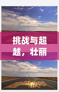 瑞雪纷飞