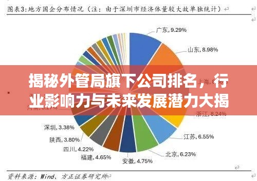 揭秘外管局旗下公司排名，行业影响力与未来发展潜力大揭秘