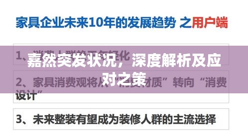 嘉然突发状况，深度解析及应对之策