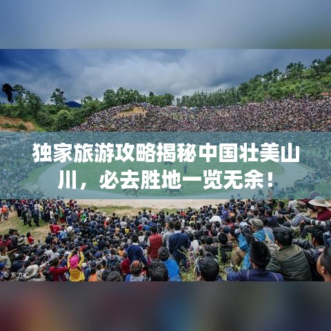 豪门贵胄