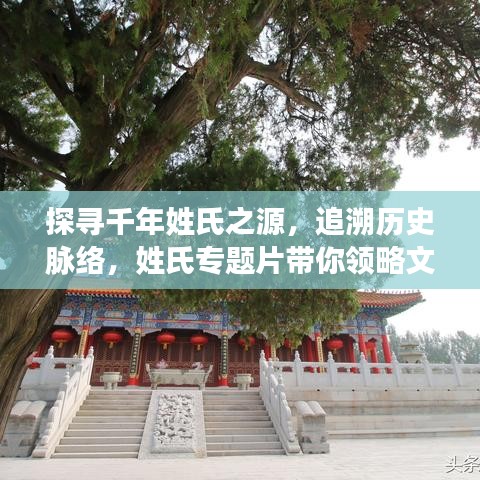 探寻千年姓氏之源，追溯历史脉络，姓氏专题片带你领略文化魅力