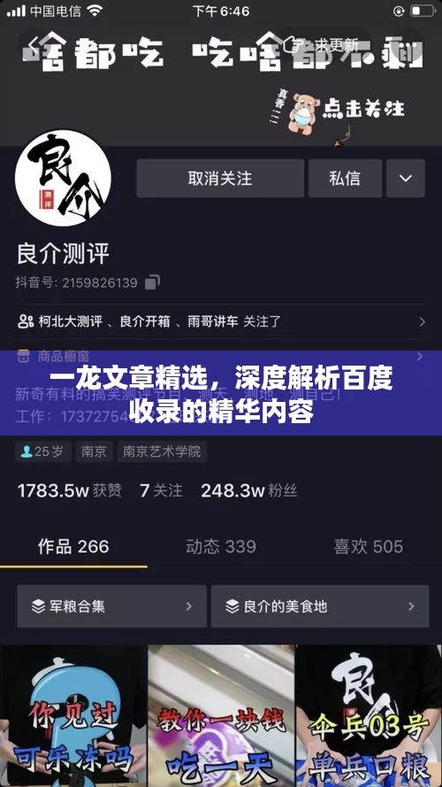 一龙文章精选，深度解析百度收录的精华内容