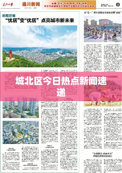 城北区今日热点新闻速递