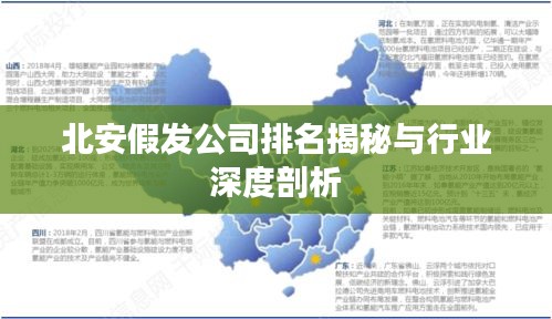 北安假发公司排名揭秘与行业深度剖析