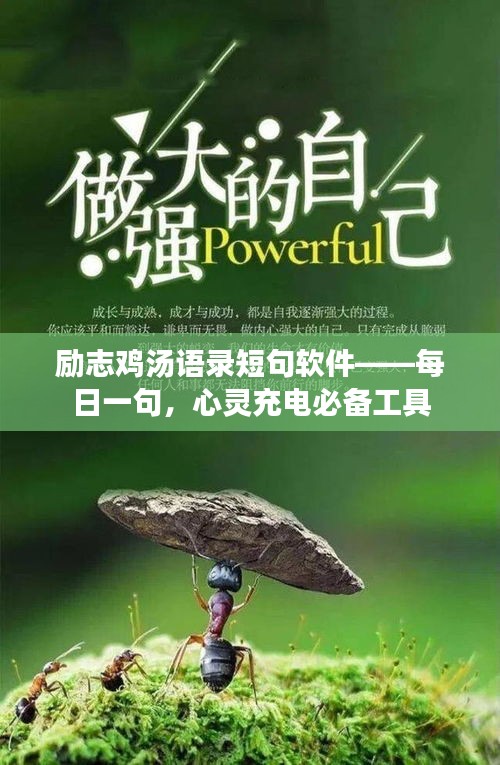 励志鸡汤语录短句软件——每日一句，心灵充电必备工具