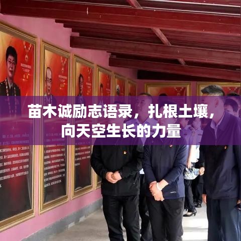 苗木诚励志语录，扎根土壤，向天空生长的力量