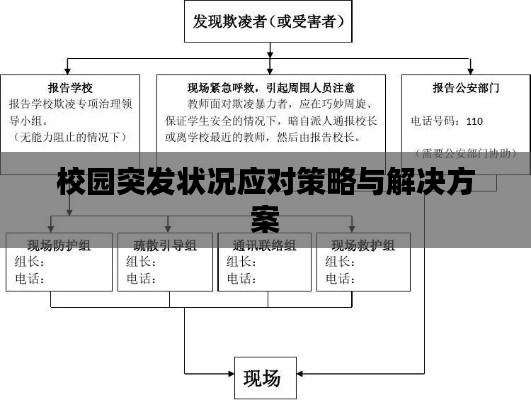 校园突发状况应对策略与解决方案
