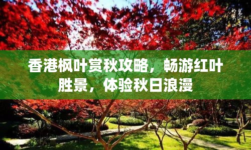 香港枫叶赏秋攻略，畅游红叶胜景，体验秋日浪漫