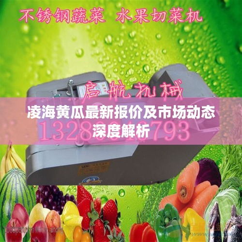 凌海黄瓜最新报价及市场动态深度解析