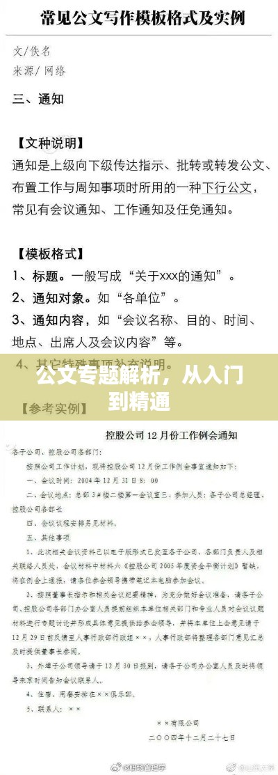 公文专题解析，从入门到精通