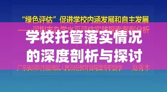 学校托管落实情况的深度剖析与探讨